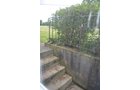 Home in Van Wert County, Ohio - REAL ESTATE AUCTION OFFERED IN 1 TRACT IN VAN WERT COUNTY, OHIO